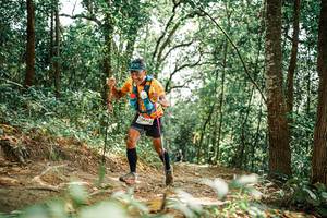 BIB: 
                            <button type="button" onclick="openModal(25543295)" class="btn btn-primary btn-sm float-right btn-popup" data-toggle="modal" data-target=".modal-high-quality">
                        <i class="fas fa-shopping-cart"></i> Add to Cart
                    </button>
                                            <button type="button" onclick="isThisMe(25543295, true)" class="btn btn-success btn-sm float-right btn-popup btn-isme hidden" data-toggle="tooltip" data-placement="bottom" title="นี่คือรูปของคุณใช่ไหม คลิกที่นี่เพื่อเอาเข้าอัลบั้ม">
                        <i class="fas fa-plus"></i> Add to album
                    </button>
                    <button type="button" onclick="isThisMe(25543295, false)" class="btn btn-warning btn-sm float-right btn-popup btn-isnotme hidden">
                        <i class="fas fa-ban"></i> Remove from album
                    </button>