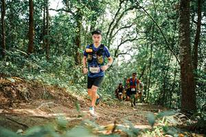 BIB: 
                            <button type="button" onclick="openModal(25541168)" class="btn btn-primary btn-sm float-right btn-popup" data-toggle="modal" data-target=".modal-high-quality">
                        <i class="fas fa-shopping-cart"></i> Add to Cart
                    </button>
                                            <button type="button" onclick="isThisMe(25541168, true)" class="btn btn-success btn-sm float-right btn-popup btn-isme hidden" data-toggle="tooltip" data-placement="bottom" title="นี่คือรูปของคุณใช่ไหม คลิกที่นี่เพื่อเอาเข้าอัลบั้ม">
                        <i class="fas fa-plus"></i> Add to album
                    </button>
                    <button type="button" onclick="isThisMe(25541168, false)" class="btn btn-warning btn-sm float-right btn-popup btn-isnotme hidden">
                        <i class="fas fa-ban"></i> Remove from album
                    </button>