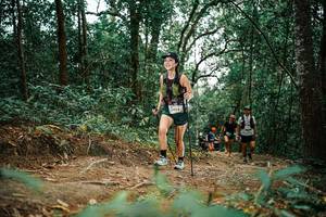 BIB: 
                            <button type="button" onclick="openModal(25666841)" class="btn btn-primary btn-sm float-right btn-popup" data-toggle="modal" data-target=".modal-high-quality">
                        <i class="fas fa-shopping-cart"></i> Add to Cart
                    </button>
                                            <button type="button" onclick="isThisMe(25666841, true)" class="btn btn-success btn-sm float-right btn-popup btn-isme hidden" data-toggle="tooltip" data-placement="bottom" title="นี่คือรูปของคุณใช่ไหม คลิกที่นี่เพื่อเอาเข้าอัลบั้ม">
                        <i class="fas fa-plus"></i> Add to album
                    </button>
                    <button type="button" onclick="isThisMe(25666841, false)" class="btn btn-warning btn-sm float-right btn-popup btn-isnotme hidden">
                        <i class="fas fa-ban"></i> Remove from album
                    </button>