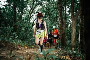 BIB: 
                            <button type="button" onclick="openModal(25662920)" class="btn btn-primary btn-sm float-right btn-popup" data-toggle="modal" data-target=".modal-high-quality">
                        <i class="fas fa-shopping-cart"></i> Add to Cart
                    </button>
                                            <button type="button" onclick="isThisMe(25662920, true)" class="btn btn-success btn-sm float-right btn-popup btn-isme hidden" data-toggle="tooltip" data-placement="bottom" title="นี่คือรูปของคุณใช่ไหม คลิกที่นี่เพื่อเอาเข้าอัลบั้ม">
                        <i class="fas fa-plus"></i> Add to album
                    </button>
                    <button type="button" onclick="isThisMe(25662920, false)" class="btn btn-warning btn-sm float-right btn-popup btn-isnotme hidden">
                        <i class="fas fa-ban"></i> Remove from album
                    </button>