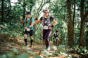 BIB: 
                            <button type="button" onclick="openModal(25536576)" class="btn btn-primary btn-sm float-right btn-popup" data-toggle="modal" data-target=".modal-high-quality">
                        <i class="fas fa-shopping-cart"></i> Add to Cart
                    </button>
                                            <button type="button" onclick="isThisMe(25536576, true)" class="btn btn-success btn-sm float-right btn-popup btn-isme hidden" data-toggle="tooltip" data-placement="bottom" title="นี่คือรูปของคุณใช่ไหม คลิกที่นี่เพื่อเอาเข้าอัลบั้ม">
                        <i class="fas fa-plus"></i> Add to album
                    </button>
                    <button type="button" onclick="isThisMe(25536576, false)" class="btn btn-warning btn-sm float-right btn-popup btn-isnotme hidden">
                        <i class="fas fa-ban"></i> Remove from album
                    </button>