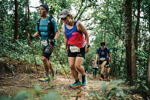 BIB: 
                            <button type="button" onclick="openModal(25553520)" class="btn btn-primary btn-sm float-right btn-popup" data-toggle="modal" data-target=".modal-high-quality">
                        <i class="fas fa-shopping-cart"></i> Add to Cart
                    </button>
                                            <button type="button" onclick="isThisMe(25553520, true)" class="btn btn-success btn-sm float-right btn-popup btn-isme hidden" data-toggle="tooltip" data-placement="bottom" title="นี่คือรูปของคุณใช่ไหม คลิกที่นี่เพื่อเอาเข้าอัลบั้ม">
                        <i class="fas fa-plus"></i> Add to album
                    </button>
                    <button type="button" onclick="isThisMe(25553520, false)" class="btn btn-warning btn-sm float-right btn-popup btn-isnotme hidden">
                        <i class="fas fa-ban"></i> Remove from album
                    </button>