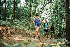 BIB: 
                            <button type="button" onclick="openModal(25540475)" class="btn btn-primary btn-sm float-right btn-popup" data-toggle="modal" data-target=".modal-high-quality">
                        <i class="fas fa-shopping-cart"></i> Add to Cart
                    </button>
                                            <button type="button" onclick="isThisMe(25540475, true)" class="btn btn-success btn-sm float-right btn-popup btn-isme hidden" data-toggle="tooltip" data-placement="bottom" title="นี่คือรูปของคุณใช่ไหม คลิกที่นี่เพื่อเอาเข้าอัลบั้ม">
                        <i class="fas fa-plus"></i> Add to album
                    </button>
                    <button type="button" onclick="isThisMe(25540475, false)" class="btn btn-warning btn-sm float-right btn-popup btn-isnotme hidden">
                        <i class="fas fa-ban"></i> Remove from album
                    </button>