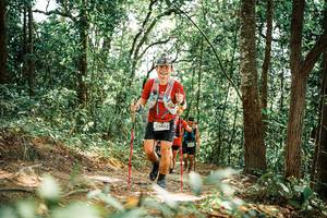 BIB: 
                            <button type="button" onclick="openModal(25544062)" class="btn btn-primary btn-sm float-right btn-popup" data-toggle="modal" data-target=".modal-high-quality">
                        <i class="fas fa-shopping-cart"></i> Add to Cart
                    </button>
                                            <button type="button" onclick="isThisMe(25544062, true)" class="btn btn-success btn-sm float-right btn-popup btn-isme hidden" data-toggle="tooltip" data-placement="bottom" title="นี่คือรูปของคุณใช่ไหม คลิกที่นี่เพื่อเอาเข้าอัลบั้ม">
                        <i class="fas fa-plus"></i> Add to album
                    </button>
                    <button type="button" onclick="isThisMe(25544062, false)" class="btn btn-warning btn-sm float-right btn-popup btn-isnotme hidden">
                        <i class="fas fa-ban"></i> Remove from album
                    </button>