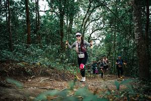 BIB: 
                            <button type="button" onclick="openModal(25670213)" class="btn btn-primary btn-sm float-right btn-popup" data-toggle="modal" data-target=".modal-high-quality">
                        <i class="fas fa-shopping-cart"></i> Add to Cart
                    </button>
                                            <button type="button" onclick="isThisMe(25670213, true)" class="btn btn-success btn-sm float-right btn-popup btn-isme hidden" data-toggle="tooltip" data-placement="bottom" title="นี่คือรูปของคุณใช่ไหม คลิกที่นี่เพื่อเอาเข้าอัลบั้ม">
                        <i class="fas fa-plus"></i> Add to album
                    </button>
                    <button type="button" onclick="isThisMe(25670213, false)" class="btn btn-warning btn-sm float-right btn-popup btn-isnotme hidden">
                        <i class="fas fa-ban"></i> Remove from album
                    </button>