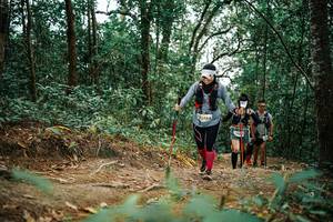 BIB: 
                            <button type="button" onclick="openModal(25666572)" class="btn btn-primary btn-sm float-right btn-popup" data-toggle="modal" data-target=".modal-high-quality">
                        <i class="fas fa-shopping-cart"></i> Add to Cart
                    </button>
                                            <button type="button" onclick="isThisMe(25666572, true)" class="btn btn-success btn-sm float-right btn-popup btn-isme hidden" data-toggle="tooltip" data-placement="bottom" title="นี่คือรูปของคุณใช่ไหม คลิกที่นี่เพื่อเอาเข้าอัลบั้ม">
                        <i class="fas fa-plus"></i> Add to album
                    </button>
                    <button type="button" onclick="isThisMe(25666572, false)" class="btn btn-warning btn-sm float-right btn-popup btn-isnotme hidden">
                        <i class="fas fa-ban"></i> Remove from album
                    </button>