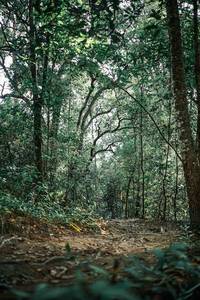 BIB: 
                            <button type="button" onclick="openModal(25528201)" class="btn btn-primary btn-sm float-right btn-popup" data-toggle="modal" data-target=".modal-high-quality">
                        <i class="fas fa-shopping-cart"></i> Add to Cart
                    </button>
                                            <button type="button" onclick="isThisMe(25528201, true)" class="btn btn-success btn-sm float-right btn-popup btn-isme hidden" data-toggle="tooltip" data-placement="bottom" title="นี่คือรูปของคุณใช่ไหม คลิกที่นี่เพื่อเอาเข้าอัลบั้ม">
                        <i class="fas fa-plus"></i> Add to album
                    </button>
                    <button type="button" onclick="isThisMe(25528201, false)" class="btn btn-warning btn-sm float-right btn-popup btn-isnotme hidden">
                        <i class="fas fa-ban"></i> Remove from album
                    </button>