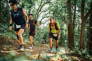 BIB: 
                            <button type="button" onclick="openModal(25541514)" class="btn btn-primary btn-sm float-right btn-popup" data-toggle="modal" data-target=".modal-high-quality">
                        <i class="fas fa-shopping-cart"></i> Add to Cart
                    </button>
                                            <button type="button" onclick="isThisMe(25541514, true)" class="btn btn-success btn-sm float-right btn-popup btn-isme hidden" data-toggle="tooltip" data-placement="bottom" title="นี่คือรูปของคุณใช่ไหม คลิกที่นี่เพื่อเอาเข้าอัลบั้ม">
                        <i class="fas fa-plus"></i> Add to album
                    </button>
                    <button type="button" onclick="isThisMe(25541514, false)" class="btn btn-warning btn-sm float-right btn-popup btn-isnotme hidden">
                        <i class="fas fa-ban"></i> Remove from album
                    </button>