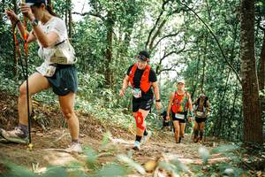 BIB: 
                            <button type="button" onclick="openModal(25549749)" class="btn btn-primary btn-sm float-right btn-popup" data-toggle="modal" data-target=".modal-high-quality">
                        <i class="fas fa-shopping-cart"></i> Add to Cart
                    </button>
                                            <button type="button" onclick="isThisMe(25549749, true)" class="btn btn-success btn-sm float-right btn-popup btn-isme hidden" data-toggle="tooltip" data-placement="bottom" title="นี่คือรูปของคุณใช่ไหม คลิกที่นี่เพื่อเอาเข้าอัลบั้ม">
                        <i class="fas fa-plus"></i> Add to album
                    </button>
                    <button type="button" onclick="isThisMe(25549749, false)" class="btn btn-warning btn-sm float-right btn-popup btn-isnotme hidden">
                        <i class="fas fa-ban"></i> Remove from album
                    </button>