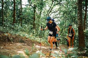 BIB: 
                            <button type="button" onclick="openModal(25550642)" class="btn btn-primary btn-sm float-right btn-popup" data-toggle="modal" data-target=".modal-high-quality">
                        <i class="fas fa-shopping-cart"></i> Add to Cart
                    </button>
                                            <button type="button" onclick="isThisMe(25550642, true)" class="btn btn-success btn-sm float-right btn-popup btn-isme hidden" data-toggle="tooltip" data-placement="bottom" title="นี่คือรูปของคุณใช่ไหม คลิกที่นี่เพื่อเอาเข้าอัลบั้ม">
                        <i class="fas fa-plus"></i> Add to album
                    </button>
                    <button type="button" onclick="isThisMe(25550642, false)" class="btn btn-warning btn-sm float-right btn-popup btn-isnotme hidden">
                        <i class="fas fa-ban"></i> Remove from album
                    </button>