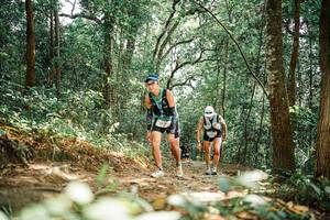 BIB: 
                            <button type="button" onclick="openModal(25545955)" class="btn btn-primary btn-sm float-right btn-popup" data-toggle="modal" data-target=".modal-high-quality">
                        <i class="fas fa-shopping-cart"></i> Add to Cart
                    </button>
                                            <button type="button" onclick="isThisMe(25545955, true)" class="btn btn-success btn-sm float-right btn-popup btn-isme hidden" data-toggle="tooltip" data-placement="bottom" title="นี่คือรูปของคุณใช่ไหม คลิกที่นี่เพื่อเอาเข้าอัลบั้ม">
                        <i class="fas fa-plus"></i> Add to album
                    </button>
                    <button type="button" onclick="isThisMe(25545955, false)" class="btn btn-warning btn-sm float-right btn-popup btn-isnotme hidden">
                        <i class="fas fa-ban"></i> Remove from album
                    </button>