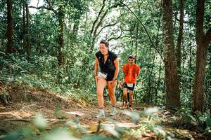 BIB: 
                            <button type="button" onclick="openModal(25542685)" class="btn btn-primary btn-sm float-right btn-popup" data-toggle="modal" data-target=".modal-high-quality">
                        <i class="fas fa-shopping-cart"></i> Add to Cart
                    </button>
                                            <button type="button" onclick="isThisMe(25542685, true)" class="btn btn-success btn-sm float-right btn-popup btn-isme hidden" data-toggle="tooltip" data-placement="bottom" title="นี่คือรูปของคุณใช่ไหม คลิกที่นี่เพื่อเอาเข้าอัลบั้ม">
                        <i class="fas fa-plus"></i> Add to album
                    </button>
                    <button type="button" onclick="isThisMe(25542685, false)" class="btn btn-warning btn-sm float-right btn-popup btn-isnotme hidden">
                        <i class="fas fa-ban"></i> Remove from album
                    </button>