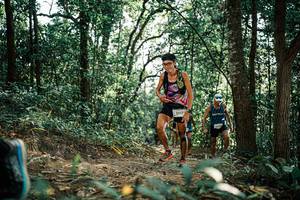 BIB: 
                            <button type="button" onclick="openModal(25529401)" class="btn btn-primary btn-sm float-right btn-popup" data-toggle="modal" data-target=".modal-high-quality">
                        <i class="fas fa-shopping-cart"></i> Add to Cart
                    </button>
                                            <button type="button" onclick="isThisMe(25529401, true)" class="btn btn-success btn-sm float-right btn-popup btn-isme hidden" data-toggle="tooltip" data-placement="bottom" title="นี่คือรูปของคุณใช่ไหม คลิกที่นี่เพื่อเอาเข้าอัลบั้ม">
                        <i class="fas fa-plus"></i> Add to album
                    </button>
                    <button type="button" onclick="isThisMe(25529401, false)" class="btn btn-warning btn-sm float-right btn-popup btn-isnotme hidden">
                        <i class="fas fa-ban"></i> Remove from album
                    </button>