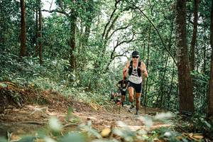 BIB: 
                            <button type="button" onclick="openModal(25547274)" class="btn btn-primary btn-sm float-right btn-popup" data-toggle="modal" data-target=".modal-high-quality">
                        <i class="fas fa-shopping-cart"></i> Add to Cart
                    </button>
                                            <button type="button" onclick="isThisMe(25547274, true)" class="btn btn-success btn-sm float-right btn-popup btn-isme hidden" data-toggle="tooltip" data-placement="bottom" title="นี่คือรูปของคุณใช่ไหม คลิกที่นี่เพื่อเอาเข้าอัลบั้ม">
                        <i class="fas fa-plus"></i> Add to album
                    </button>
                    <button type="button" onclick="isThisMe(25547274, false)" class="btn btn-warning btn-sm float-right btn-popup btn-isnotme hidden">
                        <i class="fas fa-ban"></i> Remove from album
                    </button>