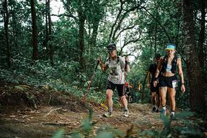 BIB: 
                            <button type="button" onclick="openModal(25664274)" class="btn btn-primary btn-sm float-right btn-popup" data-toggle="modal" data-target=".modal-high-quality">
                        <i class="fas fa-shopping-cart"></i> Add to Cart
                    </button>
                                            <button type="button" onclick="isThisMe(25664274, true)" class="btn btn-success btn-sm float-right btn-popup btn-isme hidden" data-toggle="tooltip" data-placement="bottom" title="นี่คือรูปของคุณใช่ไหม คลิกที่นี่เพื่อเอาเข้าอัลบั้ม">
                        <i class="fas fa-plus"></i> Add to album
                    </button>
                    <button type="button" onclick="isThisMe(25664274, false)" class="btn btn-warning btn-sm float-right btn-popup btn-isnotme hidden">
                        <i class="fas fa-ban"></i> Remove from album
                    </button>