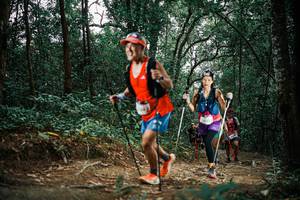 BIB: 
                            <button type="button" onclick="openModal(25595167)" class="btn btn-primary btn-sm float-right btn-popup" data-toggle="modal" data-target=".modal-high-quality">
                        <i class="fas fa-shopping-cart"></i> Add to Cart
                    </button>
                                            <button type="button" onclick="isThisMe(25595167, true)" class="btn btn-success btn-sm float-right btn-popup btn-isme hidden" data-toggle="tooltip" data-placement="bottom" title="นี่คือรูปของคุณใช่ไหม คลิกที่นี่เพื่อเอาเข้าอัลบั้ม">
                        <i class="fas fa-plus"></i> Add to album
                    </button>
                    <button type="button" onclick="isThisMe(25595167, false)" class="btn btn-warning btn-sm float-right btn-popup btn-isnotme hidden">
                        <i class="fas fa-ban"></i> Remove from album
                    </button>