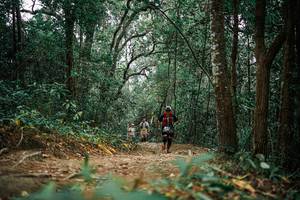 BIB: 
                            <button type="button" onclick="openModal(25668135)" class="btn btn-primary btn-sm float-right btn-popup" data-toggle="modal" data-target=".modal-high-quality">
                        <i class="fas fa-shopping-cart"></i> Add to Cart
                    </button>
                                            <button type="button" onclick="isThisMe(25668135, true)" class="btn btn-success btn-sm float-right btn-popup btn-isme hidden" data-toggle="tooltip" data-placement="bottom" title="นี่คือรูปของคุณใช่ไหม คลิกที่นี่เพื่อเอาเข้าอัลบั้ม">
                        <i class="fas fa-plus"></i> Add to album
                    </button>
                    <button type="button" onclick="isThisMe(25668135, false)" class="btn btn-warning btn-sm float-right btn-popup btn-isnotme hidden">
                        <i class="fas fa-ban"></i> Remove from album
                    </button>