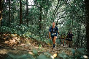 BIB: 
                            <button type="button" onclick="openModal(25529553)" class="btn btn-primary btn-sm float-right btn-popup" data-toggle="modal" data-target=".modal-high-quality">
                        <i class="fas fa-shopping-cart"></i> Add to Cart
                    </button>
                                            <button type="button" onclick="isThisMe(25529553, true)" class="btn btn-success btn-sm float-right btn-popup btn-isme hidden" data-toggle="tooltip" data-placement="bottom" title="นี่คือรูปของคุณใช่ไหม คลิกที่นี่เพื่อเอาเข้าอัลบั้ม">
                        <i class="fas fa-plus"></i> Add to album
                    </button>
                    <button type="button" onclick="isThisMe(25529553, false)" class="btn btn-warning btn-sm float-right btn-popup btn-isnotme hidden">
                        <i class="fas fa-ban"></i> Remove from album
                    </button>