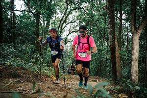 BIB: 
                            <button type="button" onclick="openModal(25590264)" class="btn btn-primary btn-sm float-right btn-popup" data-toggle="modal" data-target=".modal-high-quality">
                        <i class="fas fa-shopping-cart"></i> Add to Cart
                    </button>
                                            <button type="button" onclick="isThisMe(25590264, true)" class="btn btn-success btn-sm float-right btn-popup btn-isme hidden" data-toggle="tooltip" data-placement="bottom" title="นี่คือรูปของคุณใช่ไหม คลิกที่นี่เพื่อเอาเข้าอัลบั้ม">
                        <i class="fas fa-plus"></i> Add to album
                    </button>
                    <button type="button" onclick="isThisMe(25590264, false)" class="btn btn-warning btn-sm float-right btn-popup btn-isnotme hidden">
                        <i class="fas fa-ban"></i> Remove from album
                    </button>