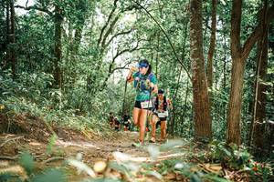 BIB: 
                            <button type="button" onclick="openModal(25549076)" class="btn btn-primary btn-sm float-right btn-popup" data-toggle="modal" data-target=".modal-high-quality">
                        <i class="fas fa-shopping-cart"></i> Add to Cart
                    </button>
                                            <button type="button" onclick="isThisMe(25549076, true)" class="btn btn-success btn-sm float-right btn-popup btn-isme hidden" data-toggle="tooltip" data-placement="bottom" title="นี่คือรูปของคุณใช่ไหม คลิกที่นี่เพื่อเอาเข้าอัลบั้ม">
                        <i class="fas fa-plus"></i> Add to album
                    </button>
                    <button type="button" onclick="isThisMe(25549076, false)" class="btn btn-warning btn-sm float-right btn-popup btn-isnotme hidden">
                        <i class="fas fa-ban"></i> Remove from album
                    </button>