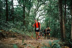 BIB: 
                            <button type="button" onclick="openModal(25590297)" class="btn btn-primary btn-sm float-right btn-popup" data-toggle="modal" data-target=".modal-high-quality">
                        <i class="fas fa-shopping-cart"></i> Add to Cart
                    </button>
                                            <button type="button" onclick="isThisMe(25590297, true)" class="btn btn-success btn-sm float-right btn-popup btn-isme hidden" data-toggle="tooltip" data-placement="bottom" title="นี่คือรูปของคุณใช่ไหม คลิกที่นี่เพื่อเอาเข้าอัลบั้ม">
                        <i class="fas fa-plus"></i> Add to album
                    </button>
                    <button type="button" onclick="isThisMe(25590297, false)" class="btn btn-warning btn-sm float-right btn-popup btn-isnotme hidden">
                        <i class="fas fa-ban"></i> Remove from album
                    </button>