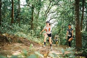 BIB: 
                            <button type="button" onclick="openModal(25549913)" class="btn btn-primary btn-sm float-right btn-popup" data-toggle="modal" data-target=".modal-high-quality">
                        <i class="fas fa-shopping-cart"></i> Add to Cart
                    </button>
                                            <button type="button" onclick="isThisMe(25549913, true)" class="btn btn-success btn-sm float-right btn-popup btn-isme hidden" data-toggle="tooltip" data-placement="bottom" title="นี่คือรูปของคุณใช่ไหม คลิกที่นี่เพื่อเอาเข้าอัลบั้ม">
                        <i class="fas fa-plus"></i> Add to album
                    </button>
                    <button type="button" onclick="isThisMe(25549913, false)" class="btn btn-warning btn-sm float-right btn-popup btn-isnotme hidden">
                        <i class="fas fa-ban"></i> Remove from album
                    </button>