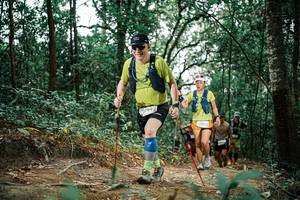 BIB: 
                            <button type="button" onclick="openModal(25662604)" class="btn btn-primary btn-sm float-right btn-popup" data-toggle="modal" data-target=".modal-high-quality">
                        <i class="fas fa-shopping-cart"></i> Add to Cart
                    </button>
                                            <button type="button" onclick="isThisMe(25662604, true)" class="btn btn-success btn-sm float-right btn-popup btn-isme hidden" data-toggle="tooltip" data-placement="bottom" title="นี่คือรูปของคุณใช่ไหม คลิกที่นี่เพื่อเอาเข้าอัลบั้ม">
                        <i class="fas fa-plus"></i> Add to album
                    </button>
                    <button type="button" onclick="isThisMe(25662604, false)" class="btn btn-warning btn-sm float-right btn-popup btn-isnotme hidden">
                        <i class="fas fa-ban"></i> Remove from album
                    </button>