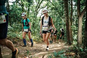 BIB: 
                            <button type="button" onclick="openModal(25554746)" class="btn btn-primary btn-sm float-right btn-popup" data-toggle="modal" data-target=".modal-high-quality">
                        <i class="fas fa-shopping-cart"></i> Add to Cart
                    </button>
                                            <button type="button" onclick="isThisMe(25554746, true)" class="btn btn-success btn-sm float-right btn-popup btn-isme hidden" data-toggle="tooltip" data-placement="bottom" title="นี่คือรูปของคุณใช่ไหม คลิกที่นี่เพื่อเอาเข้าอัลบั้ม">
                        <i class="fas fa-plus"></i> Add to album
                    </button>
                    <button type="button" onclick="isThisMe(25554746, false)" class="btn btn-warning btn-sm float-right btn-popup btn-isnotme hidden">
                        <i class="fas fa-ban"></i> Remove from album
                    </button>