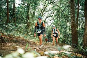 BIB: 
                            <button type="button" onclick="openModal(25545967)" class="btn btn-primary btn-sm float-right btn-popup" data-toggle="modal" data-target=".modal-high-quality">
                        <i class="fas fa-shopping-cart"></i> Add to Cart
                    </button>
                                            <button type="button" onclick="isThisMe(25545967, true)" class="btn btn-success btn-sm float-right btn-popup btn-isme hidden" data-toggle="tooltip" data-placement="bottom" title="นี่คือรูปของคุณใช่ไหม คลิกที่นี่เพื่อเอาเข้าอัลบั้ม">
                        <i class="fas fa-plus"></i> Add to album
                    </button>
                    <button type="button" onclick="isThisMe(25545967, false)" class="btn btn-warning btn-sm float-right btn-popup btn-isnotme hidden">
                        <i class="fas fa-ban"></i> Remove from album
                    </button>