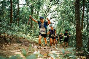 BIB: 
                            <button type="button" onclick="openModal(25550537)" class="btn btn-primary btn-sm float-right btn-popup" data-toggle="modal" data-target=".modal-high-quality">
                        <i class="fas fa-shopping-cart"></i> Add to Cart
                    </button>
                                            <button type="button" onclick="isThisMe(25550537, true)" class="btn btn-success btn-sm float-right btn-popup btn-isme hidden" data-toggle="tooltip" data-placement="bottom" title="นี่คือรูปของคุณใช่ไหม คลิกที่นี่เพื่อเอาเข้าอัลบั้ม">
                        <i class="fas fa-plus"></i> Add to album
                    </button>
                    <button type="button" onclick="isThisMe(25550537, false)" class="btn btn-warning btn-sm float-right btn-popup btn-isnotme hidden">
                        <i class="fas fa-ban"></i> Remove from album
                    </button>