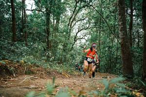 BIB: 
                            <button type="button" onclick="openModal(25664820)" class="btn btn-primary btn-sm float-right btn-popup" data-toggle="modal" data-target=".modal-high-quality">
                        <i class="fas fa-shopping-cart"></i> Add to Cart
                    </button>
                                            <button type="button" onclick="isThisMe(25664820, true)" class="btn btn-success btn-sm float-right btn-popup btn-isme hidden" data-toggle="tooltip" data-placement="bottom" title="นี่คือรูปของคุณใช่ไหม คลิกที่นี่เพื่อเอาเข้าอัลบั้ม">
                        <i class="fas fa-plus"></i> Add to album
                    </button>
                    <button type="button" onclick="isThisMe(25664820, false)" class="btn btn-warning btn-sm float-right btn-popup btn-isnotme hidden">
                        <i class="fas fa-ban"></i> Remove from album
                    </button>