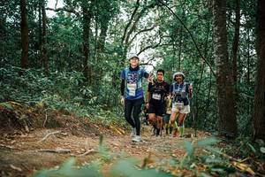 BIB: 
                            <button type="button" onclick="openModal(25675509)" class="btn btn-primary btn-sm float-right btn-popup" data-toggle="modal" data-target=".modal-high-quality">
                        <i class="fas fa-shopping-cart"></i> Add to Cart
                    </button>
                                            <button type="button" onclick="isThisMe(25675509, true)" class="btn btn-success btn-sm float-right btn-popup btn-isme hidden" data-toggle="tooltip" data-placement="bottom" title="นี่คือรูปของคุณใช่ไหม คลิกที่นี่เพื่อเอาเข้าอัลบั้ม">
                        <i class="fas fa-plus"></i> Add to album
                    </button>
                    <button type="button" onclick="isThisMe(25675509, false)" class="btn btn-warning btn-sm float-right btn-popup btn-isnotme hidden">
                        <i class="fas fa-ban"></i> Remove from album
                    </button>