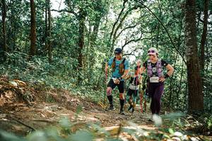 BIB: 
                            <button type="button" onclick="openModal(25536550)" class="btn btn-primary btn-sm float-right btn-popup" data-toggle="modal" data-target=".modal-high-quality">
                        <i class="fas fa-shopping-cart"></i> Add to Cart
                    </button>
                                            <button type="button" onclick="isThisMe(25536550, true)" class="btn btn-success btn-sm float-right btn-popup btn-isme hidden" data-toggle="tooltip" data-placement="bottom" title="นี่คือรูปของคุณใช่ไหม คลิกที่นี่เพื่อเอาเข้าอัลบั้ม">
                        <i class="fas fa-plus"></i> Add to album
                    </button>
                    <button type="button" onclick="isThisMe(25536550, false)" class="btn btn-warning btn-sm float-right btn-popup btn-isnotme hidden">
                        <i class="fas fa-ban"></i> Remove from album
                    </button>