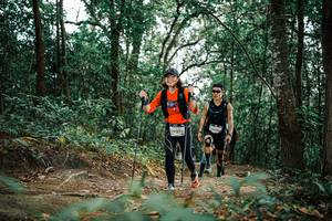 BIB: 
                            <button type="button" onclick="openModal(25670683)" class="btn btn-primary btn-sm float-right btn-popup" data-toggle="modal" data-target=".modal-high-quality">
                        <i class="fas fa-shopping-cart"></i> Add to Cart
                    </button>
                                            <button type="button" onclick="isThisMe(25670683, true)" class="btn btn-success btn-sm float-right btn-popup btn-isme hidden" data-toggle="tooltip" data-placement="bottom" title="นี่คือรูปของคุณใช่ไหม คลิกที่นี่เพื่อเอาเข้าอัลบั้ม">
                        <i class="fas fa-plus"></i> Add to album
                    </button>
                    <button type="button" onclick="isThisMe(25670683, false)" class="btn btn-warning btn-sm float-right btn-popup btn-isnotme hidden">
                        <i class="fas fa-ban"></i> Remove from album
                    </button>