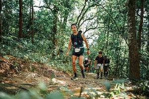 BIB: 
                            <button type="button" onclick="openModal(25537685)" class="btn btn-primary btn-sm float-right btn-popup" data-toggle="modal" data-target=".modal-high-quality">
                        <i class="fas fa-shopping-cart"></i> Add to Cart
                    </button>
                                            <button type="button" onclick="isThisMe(25537685, true)" class="btn btn-success btn-sm float-right btn-popup btn-isme hidden" data-toggle="tooltip" data-placement="bottom" title="นี่คือรูปของคุณใช่ไหม คลิกที่นี่เพื่อเอาเข้าอัลบั้ม">
                        <i class="fas fa-plus"></i> Add to album
                    </button>
                    <button type="button" onclick="isThisMe(25537685, false)" class="btn btn-warning btn-sm float-right btn-popup btn-isnotme hidden">
                        <i class="fas fa-ban"></i> Remove from album
                    </button>