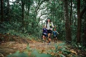 BIB: 
                            <button type="button" onclick="openModal(25667113)" class="btn btn-primary btn-sm float-right btn-popup" data-toggle="modal" data-target=".modal-high-quality">
                        <i class="fas fa-shopping-cart"></i> Add to Cart
                    </button>
                                            <button type="button" onclick="isThisMe(25667113, true)" class="btn btn-success btn-sm float-right btn-popup btn-isme hidden" data-toggle="tooltip" data-placement="bottom" title="นี่คือรูปของคุณใช่ไหม คลิกที่นี่เพื่อเอาเข้าอัลบั้ม">
                        <i class="fas fa-plus"></i> Add to album
                    </button>
                    <button type="button" onclick="isThisMe(25667113, false)" class="btn btn-warning btn-sm float-right btn-popup btn-isnotme hidden">
                        <i class="fas fa-ban"></i> Remove from album
                    </button>