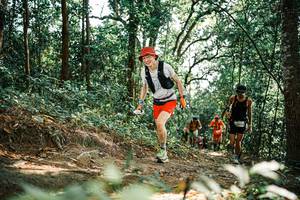 BIB: 
                            <button type="button" onclick="openModal(25531930)" class="btn btn-primary btn-sm float-right btn-popup" data-toggle="modal" data-target=".modal-high-quality">
                        <i class="fas fa-shopping-cart"></i> Add to Cart
                    </button>
                                            <button type="button" onclick="isThisMe(25531930, true)" class="btn btn-success btn-sm float-right btn-popup btn-isme hidden" data-toggle="tooltip" data-placement="bottom" title="นี่คือรูปของคุณใช่ไหม คลิกที่นี่เพื่อเอาเข้าอัลบั้ม">
                        <i class="fas fa-plus"></i> Add to album
                    </button>
                    <button type="button" onclick="isThisMe(25531930, false)" class="btn btn-warning btn-sm float-right btn-popup btn-isnotme hidden">
                        <i class="fas fa-ban"></i> Remove from album
                    </button>