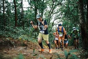 BIB: 
                            <button type="button" onclick="openModal(25662654)" class="btn btn-primary btn-sm float-right btn-popup" data-toggle="modal" data-target=".modal-high-quality">
                        <i class="fas fa-shopping-cart"></i> Add to Cart
                    </button>
                                            <button type="button" onclick="isThisMe(25662654, true)" class="btn btn-success btn-sm float-right btn-popup btn-isme hidden" data-toggle="tooltip" data-placement="bottom" title="นี่คือรูปของคุณใช่ไหม คลิกที่นี่เพื่อเอาเข้าอัลบั้ม">
                        <i class="fas fa-plus"></i> Add to album
                    </button>
                    <button type="button" onclick="isThisMe(25662654, false)" class="btn btn-warning btn-sm float-right btn-popup btn-isnotme hidden">
                        <i class="fas fa-ban"></i> Remove from album
                    </button>