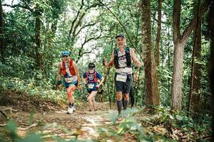 BIB: 
                            <button type="button" onclick="openModal(25551685)" class="btn btn-primary btn-sm float-right btn-popup" data-toggle="modal" data-target=".modal-high-quality">
                        <i class="fas fa-shopping-cart"></i> Add to Cart
                    </button>
                                            <button type="button" onclick="isThisMe(25551685, true)" class="btn btn-success btn-sm float-right btn-popup btn-isme hidden" data-toggle="tooltip" data-placement="bottom" title="นี่คือรูปของคุณใช่ไหม คลิกที่นี่เพื่อเอาเข้าอัลบั้ม">
                        <i class="fas fa-plus"></i> Add to album
                    </button>
                    <button type="button" onclick="isThisMe(25551685, false)" class="btn btn-warning btn-sm float-right btn-popup btn-isnotme hidden">
                        <i class="fas fa-ban"></i> Remove from album
                    </button>