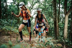 BIB: 
                            <button type="button" onclick="openModal(25553480)" class="btn btn-primary btn-sm float-right btn-popup" data-toggle="modal" data-target=".modal-high-quality">
                        <i class="fas fa-shopping-cart"></i> Add to Cart
                    </button>
                                            <button type="button" onclick="isThisMe(25553480, true)" class="btn btn-success btn-sm float-right btn-popup btn-isme hidden" data-toggle="tooltip" data-placement="bottom" title="นี่คือรูปของคุณใช่ไหม คลิกที่นี่เพื่อเอาเข้าอัลบั้ม">
                        <i class="fas fa-plus"></i> Add to album
                    </button>
                    <button type="button" onclick="isThisMe(25553480, false)" class="btn btn-warning btn-sm float-right btn-popup btn-isnotme hidden">
                        <i class="fas fa-ban"></i> Remove from album
                    </button>