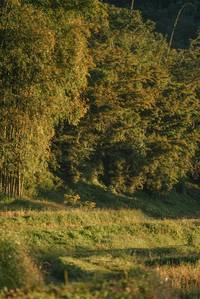 BIB: 
                            <button type="button" onclick="openModal(26747451)" class="btn btn-primary btn-sm float-right btn-popup" data-toggle="modal" data-target=".modal-high-quality">
                        <i class="fas fa-shopping-cart"></i> Add to Cart
                    </button>
                                            <button type="button" onclick="isThisMe(26747451, true)" class="btn btn-success btn-sm float-right btn-popup btn-isme hidden" data-toggle="tooltip" data-placement="bottom" title="นี่คือรูปของคุณใช่ไหม คลิกที่นี่เพื่อเอาเข้าอัลบั้ม">
                        <i class="fas fa-plus"></i> Add to album
                    </button>
                    <button type="button" onclick="isThisMe(26747451, false)" class="btn btn-warning btn-sm float-right btn-popup btn-isnotme hidden">
                        <i class="fas fa-ban"></i> Remove from album
                    </button>