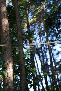 BIB: 
                            <button type="button" onclick="openModal(26742381)" class="btn btn-primary btn-sm float-right btn-popup" data-toggle="modal" data-target=".modal-high-quality">
                        <i class="fas fa-shopping-cart"></i> Add to Cart
                    </button>
                                            <button type="button" onclick="isThisMe(26742381, true)" class="btn btn-success btn-sm float-right btn-popup btn-isme hidden" data-toggle="tooltip" data-placement="bottom" title="นี่คือรูปของคุณใช่ไหม คลิกที่นี่เพื่อเอาเข้าอัลบั้ม">
                        <i class="fas fa-plus"></i> Add to album
                    </button>
                    <button type="button" onclick="isThisMe(26742381, false)" class="btn btn-warning btn-sm float-right btn-popup btn-isnotme hidden">
                        <i class="fas fa-ban"></i> Remove from album
                    </button>