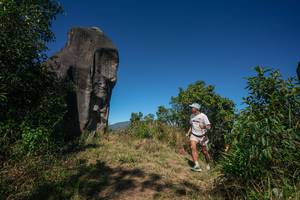 BIB: 
                            <button type="button" onclick="openModal(26575854)" class="btn btn-primary btn-sm float-right btn-popup" data-toggle="modal" data-target=".modal-high-quality">
                        <i class="fas fa-shopping-cart"></i> Add to Cart
                    </button>
                                            <button type="button" onclick="isThisMe(26575854, true)" class="btn btn-success btn-sm float-right btn-popup btn-isme hidden" data-toggle="tooltip" data-placement="bottom" title="นี่คือรูปของคุณใช่ไหม คลิกที่นี่เพื่อเอาเข้าอัลบั้ม">
                        <i class="fas fa-plus"></i> Add to album
                    </button>
                    <button type="button" onclick="isThisMe(26575854, false)" class="btn btn-warning btn-sm float-right btn-popup btn-isnotme hidden">
                        <i class="fas fa-ban"></i> Remove from album
                    </button>