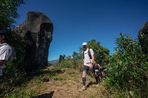 BIB: 
                            <button type="button" onclick="openModal(26581646)" class="btn btn-primary btn-sm float-right btn-popup" data-toggle="modal" data-target=".modal-high-quality">
                        <i class="fas fa-shopping-cart"></i> Add to Cart
                    </button>
                                            <button type="button" onclick="isThisMe(26581646, true)" class="btn btn-success btn-sm float-right btn-popup btn-isme hidden" data-toggle="tooltip" data-placement="bottom" title="นี่คือรูปของคุณใช่ไหม คลิกที่นี่เพื่อเอาเข้าอัลบั้ม">
                        <i class="fas fa-plus"></i> Add to album
                    </button>
                    <button type="button" onclick="isThisMe(26581646, false)" class="btn btn-warning btn-sm float-right btn-popup btn-isnotme hidden">
                        <i class="fas fa-ban"></i> Remove from album
                    </button>