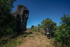 BIB: 
                            <button type="button" onclick="openModal(26581078)" class="btn btn-primary btn-sm float-right btn-popup" data-toggle="modal" data-target=".modal-high-quality">
                        <i class="fas fa-shopping-cart"></i> Add to Cart
                    </button>
                                            <button type="button" onclick="isThisMe(26581078, true)" class="btn btn-success btn-sm float-right btn-popup btn-isme hidden" data-toggle="tooltip" data-placement="bottom" title="นี่คือรูปของคุณใช่ไหม คลิกที่นี่เพื่อเอาเข้าอัลบั้ม">
                        <i class="fas fa-plus"></i> Add to album
                    </button>
                    <button type="button" onclick="isThisMe(26581078, false)" class="btn btn-warning btn-sm float-right btn-popup btn-isnotme hidden">
                        <i class="fas fa-ban"></i> Remove from album
                    </button>