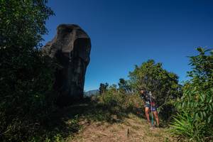 BIB: 
                            <button type="button" onclick="openModal(26586906)" class="btn btn-primary btn-sm float-right btn-popup" data-toggle="modal" data-target=".modal-high-quality">
                        <i class="fas fa-shopping-cart"></i> Add to Cart
                    </button>
                                            <button type="button" onclick="isThisMe(26586906, true)" class="btn btn-success btn-sm float-right btn-popup btn-isme hidden" data-toggle="tooltip" data-placement="bottom" title="นี่คือรูปของคุณใช่ไหม คลิกที่นี่เพื่อเอาเข้าอัลบั้ม">
                        <i class="fas fa-plus"></i> Add to album
                    </button>
                    <button type="button" onclick="isThisMe(26586906, false)" class="btn btn-warning btn-sm float-right btn-popup btn-isnotme hidden">
                        <i class="fas fa-ban"></i> Remove from album
                    </button>