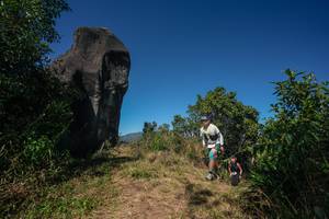 BIB: 
                            <button type="button" onclick="openModal(26579063)" class="btn btn-primary btn-sm float-right btn-popup" data-toggle="modal" data-target=".modal-high-quality">
                        <i class="fas fa-shopping-cart"></i> Add to Cart
                    </button>
                                            <button type="button" onclick="isThisMe(26579063, true)" class="btn btn-success btn-sm float-right btn-popup btn-isme hidden" data-toggle="tooltip" data-placement="bottom" title="นี่คือรูปของคุณใช่ไหม คลิกที่นี่เพื่อเอาเข้าอัลบั้ม">
                        <i class="fas fa-plus"></i> Add to album
                    </button>
                    <button type="button" onclick="isThisMe(26579063, false)" class="btn btn-warning btn-sm float-right btn-popup btn-isnotme hidden">
                        <i class="fas fa-ban"></i> Remove from album
                    </button>