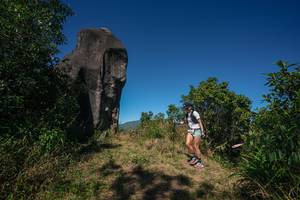 BIB: 
                            <button type="button" onclick="openModal(26576833)" class="btn btn-primary btn-sm float-right btn-popup" data-toggle="modal" data-target=".modal-high-quality">
                        <i class="fas fa-shopping-cart"></i> Add to Cart
                    </button>
                                            <button type="button" onclick="isThisMe(26576833, true)" class="btn btn-success btn-sm float-right btn-popup btn-isme hidden" data-toggle="tooltip" data-placement="bottom" title="นี่คือรูปของคุณใช่ไหม คลิกที่นี่เพื่อเอาเข้าอัลบั้ม">
                        <i class="fas fa-plus"></i> Add to album
                    </button>
                    <button type="button" onclick="isThisMe(26576833, false)" class="btn btn-warning btn-sm float-right btn-popup btn-isnotme hidden">
                        <i class="fas fa-ban"></i> Remove from album
                    </button>