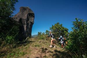 BIB: 
                            <button type="button" onclick="openModal(26578341)" class="btn btn-primary btn-sm float-right btn-popup" data-toggle="modal" data-target=".modal-high-quality">
                        <i class="fas fa-shopping-cart"></i> Add to Cart
                    </button>
                                            <button type="button" onclick="isThisMe(26578341, true)" class="btn btn-success btn-sm float-right btn-popup btn-isme hidden" data-toggle="tooltip" data-placement="bottom" title="นี่คือรูปของคุณใช่ไหม คลิกที่นี่เพื่อเอาเข้าอัลบั้ม">
                        <i class="fas fa-plus"></i> Add to album
                    </button>
                    <button type="button" onclick="isThisMe(26578341, false)" class="btn btn-warning btn-sm float-right btn-popup btn-isnotme hidden">
                        <i class="fas fa-ban"></i> Remove from album
                    </button>