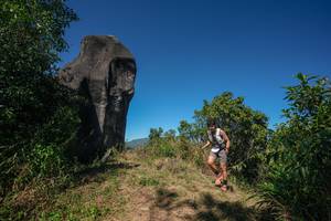 BIB: 
                            <button type="button" onclick="openModal(26578039)" class="btn btn-primary btn-sm float-right btn-popup" data-toggle="modal" data-target=".modal-high-quality">
                        <i class="fas fa-shopping-cart"></i> Add to Cart
                    </button>
                                            <button type="button" onclick="isThisMe(26578039, true)" class="btn btn-success btn-sm float-right btn-popup btn-isme hidden" data-toggle="tooltip" data-placement="bottom" title="นี่คือรูปของคุณใช่ไหม คลิกที่นี่เพื่อเอาเข้าอัลบั้ม">
                        <i class="fas fa-plus"></i> Add to album
                    </button>
                    <button type="button" onclick="isThisMe(26578039, false)" class="btn btn-warning btn-sm float-right btn-popup btn-isnotme hidden">
                        <i class="fas fa-ban"></i> Remove from album
                    </button>